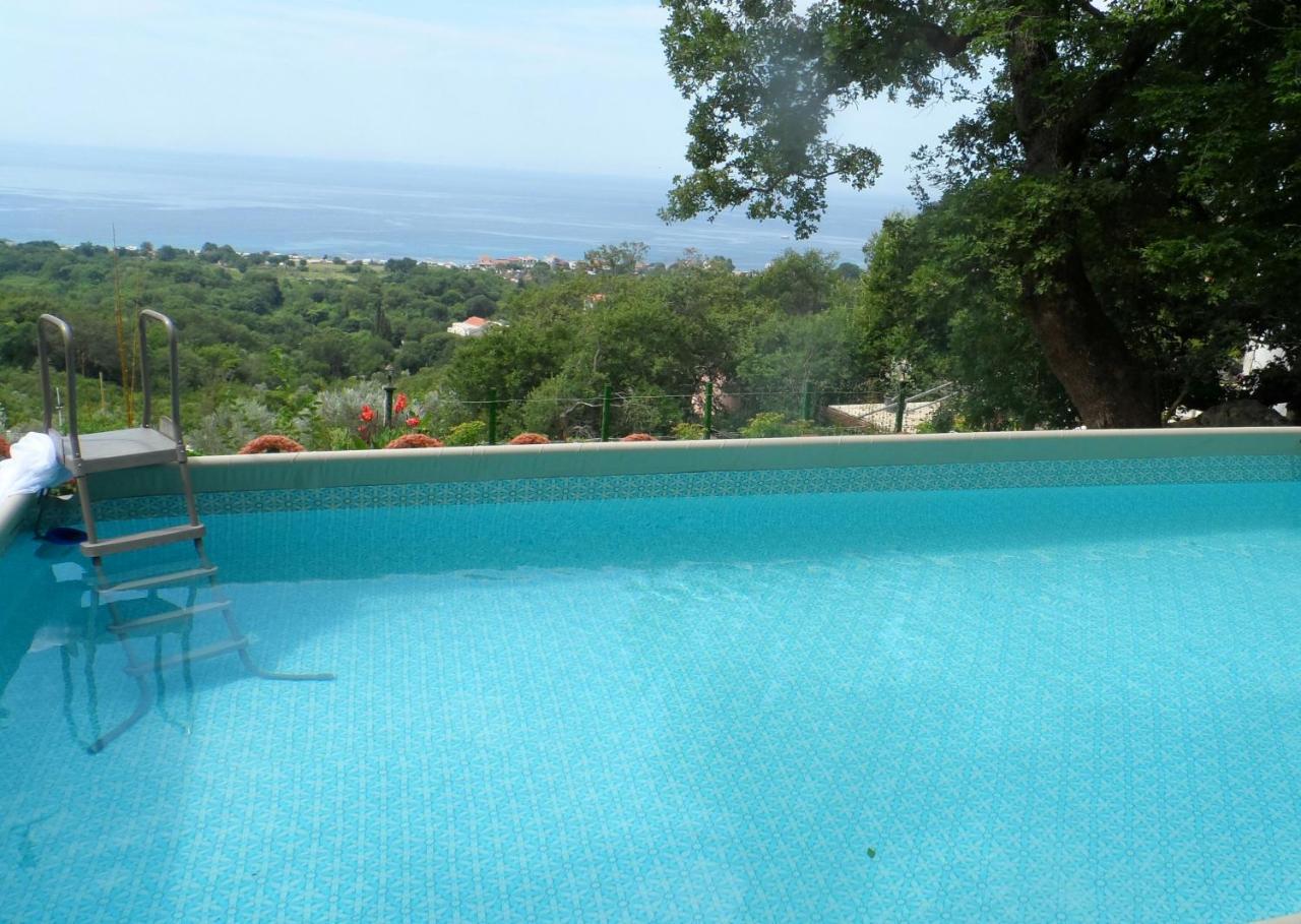 Pataki Guesthouse Petrovac Екстер'єр фото