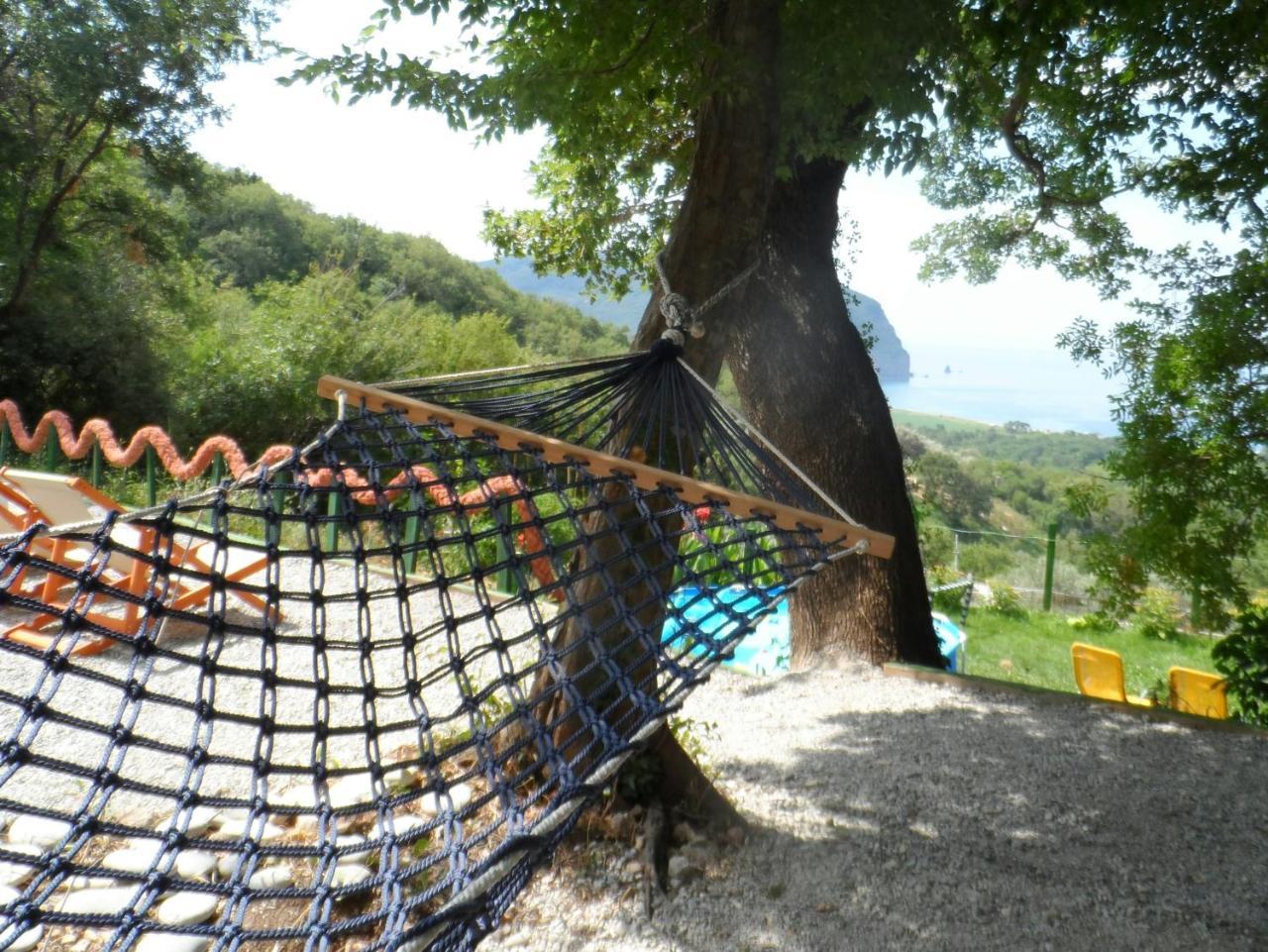 Pataki Guesthouse Petrovac Екстер'єр фото