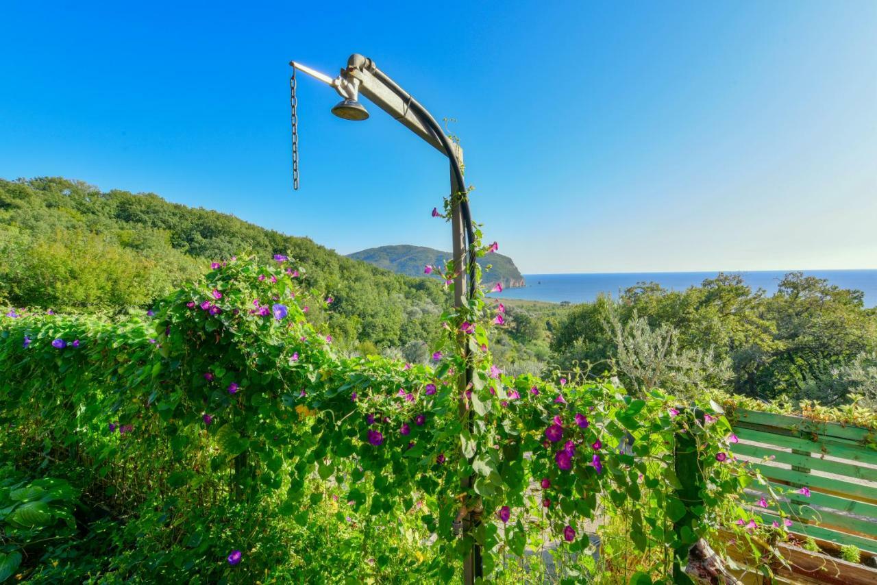 Pataki Guesthouse Petrovac Екстер'єр фото