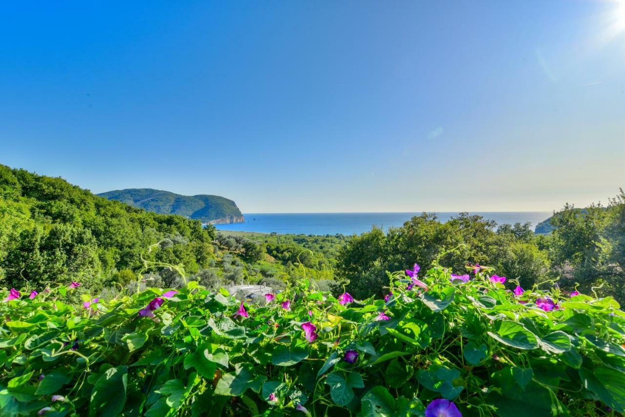 Pataki Guesthouse Petrovac Екстер'єр фото